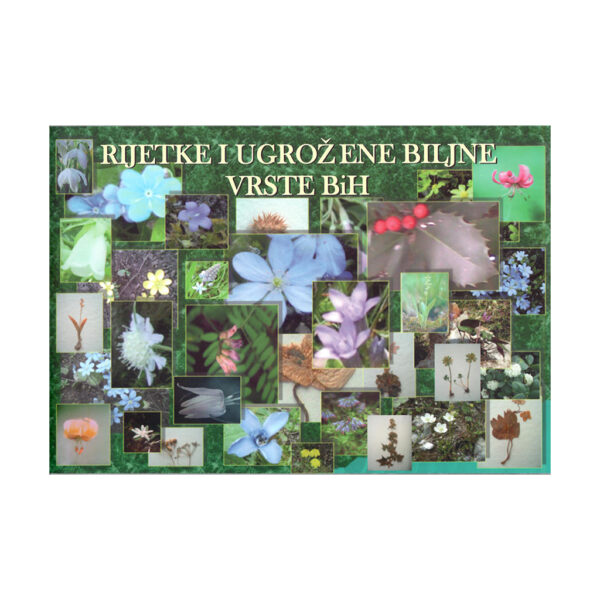 Rare and endangered plant species of Bosnia and Herzegovina